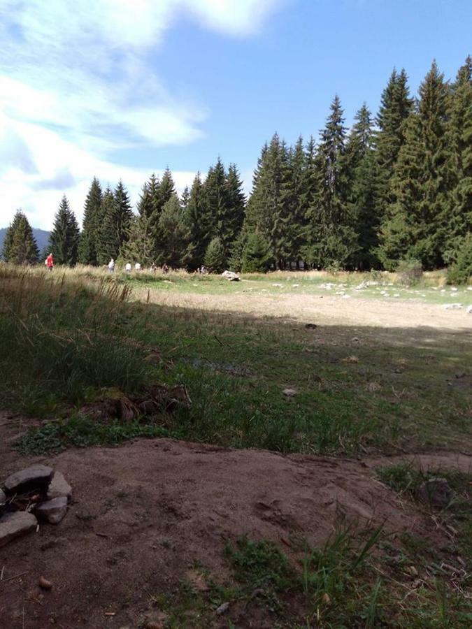 Пампорово Студио Милка В Хотел Росица Buitenkant foto